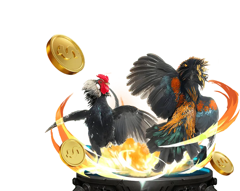 Cá cược trực tiếp các trận đấu tại U888